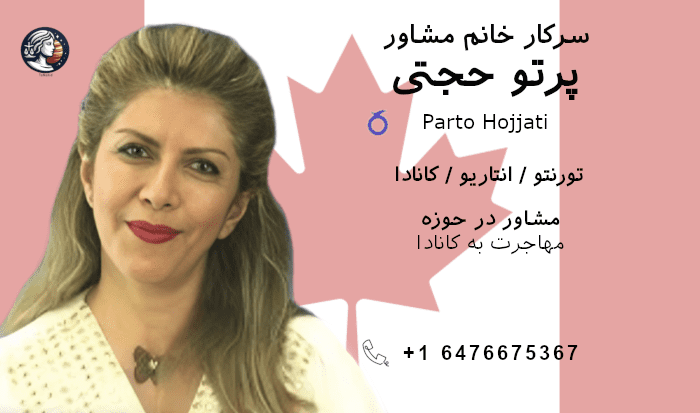 پرتو حجتی